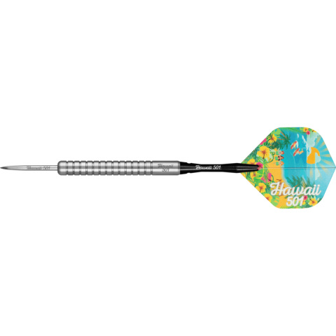 Lotki Wayne Mardle Hawaii 501 90% Silver