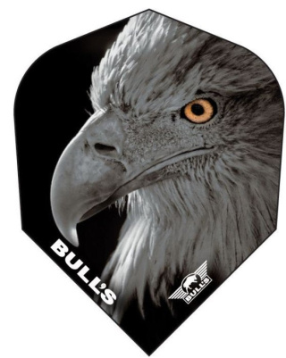 Bull's NL Eagle No.6 - Piórka