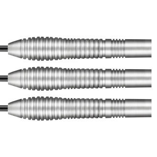 Shot Birds of Prey Kestrel- 24g - 80% Wolfram